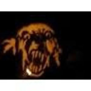 Meet your Posher, Zachariah